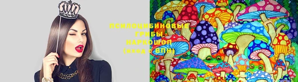 mix Аркадак