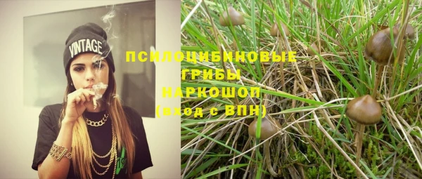 СК Зеленодольск