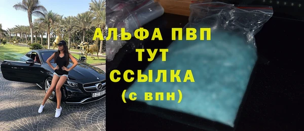 винт Арсеньев